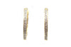 Diamond Hoop Earrings in Gold over Sterling Silver